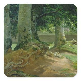 Beech Trees in Frederiksdal near Copenhagen Square Sticker