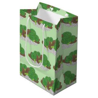 Beef and Broccoli Chinese Takeaway Takeout Food Medium Gift Bag