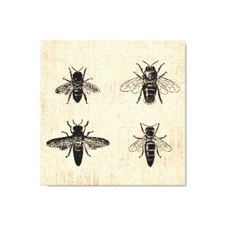 Bees Illustration Antique Bee Art Vintage Design Canvas Print
