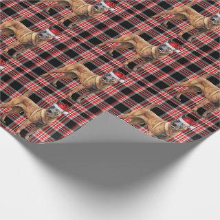 Belgian Malinois Dog and Red Plaid Christmas
