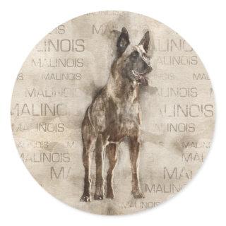 Belgian Malinois - Mechelaar  - Maligator Classic Round Sticker
