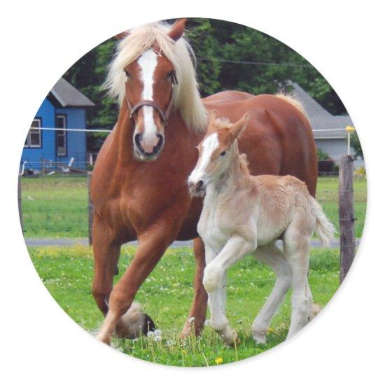 belgian Mare and Filly Classic Round Sticker