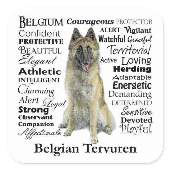 Belgian Tervuren Stickers