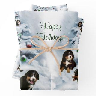 Bernese Mountain Dog Christmas   Sheets