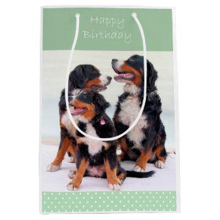 Bernese Mountain Dogs Happy Birthday Medium Gift Bag