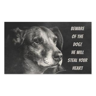 Beware of the dog, custom pet photo rectangular sticker