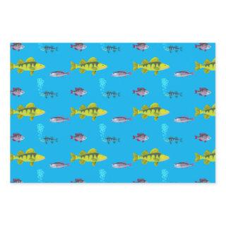Big Fish, Little Fish