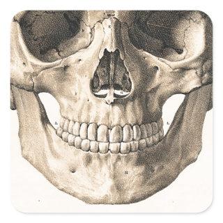 Big Skull, Small Skull Square Sticker