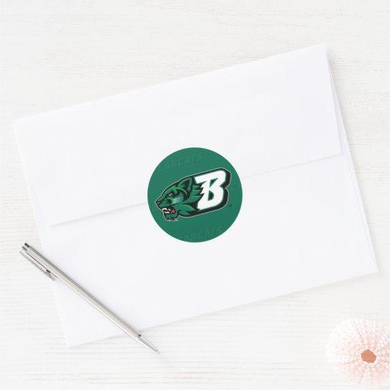 Binghamton University Logo Watermark Classic Round Sticker