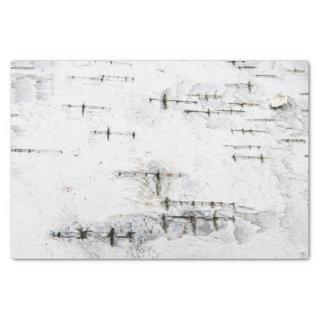 Birch bark pattern tissue paper