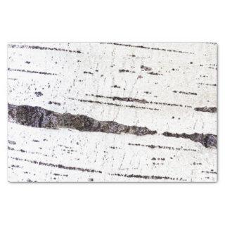 Birch bark pattern tissue paper