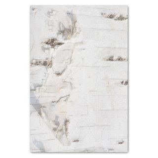 Birch bark pattern tissue paper