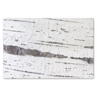 Birch bark pattern tissue paper