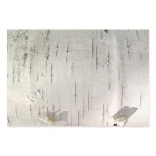 Birch bark pattern  sheets