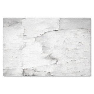 Birch Bark Tree Black And White Rustic Woodland Tissue Paper