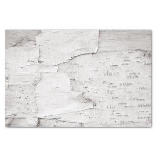Birch Bark Tree White Rustic Country Woodland Tissue Paper