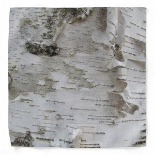 Birch Tree Bark Peeled Old Photo Art Bandana