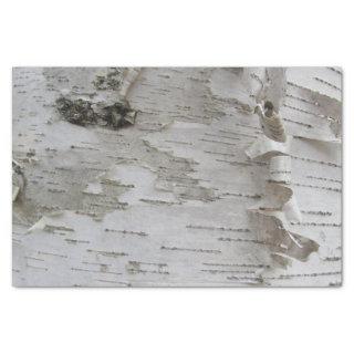 Birch Tree Bark Peeled Old Photo Art Tissue Paper