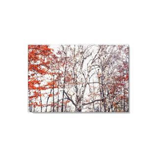 Birch Trees and Orange Fall Leaves Nature Canvas Print