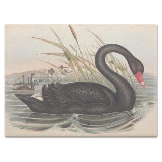Bird Black Swan Ephemera Decoupage Tissue Paper