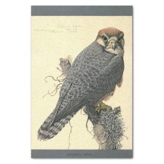 Bird Ephemera Decoupage Falcon Tissue Paper
