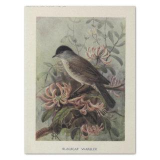 Bird Floral Ephemera Decoupage Vintage Warbler Tissue Paper