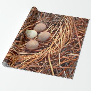 Bird Nest Brown Eggs Old Vintage Antique Retro