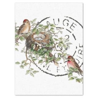 Bird Nest French Postmark Tree Vintage Decoupage   Tissue Paper