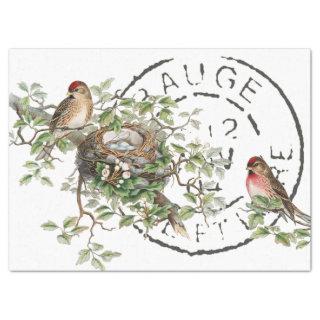 Bird Nest French Postmark Vintage Decoupage  Tissue Paper