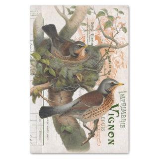 Bird Nest Tree Vintage French Script Decoupage  Tissue Paper