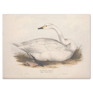 Bird White Swan Ephemera Decoupage Vintage Tissue Paper