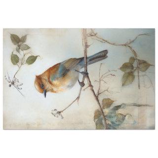 Bird with watercolor background  tissue paper