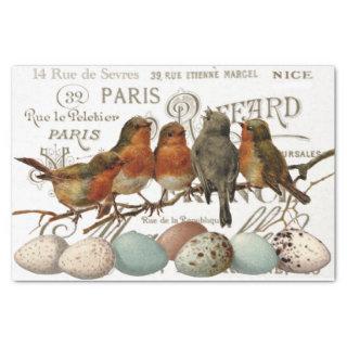 Birds and Eggs Vintage French City Names Decoupage Tissue Paper