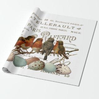 Birds and Eggs Vintage French City Names Decoupage