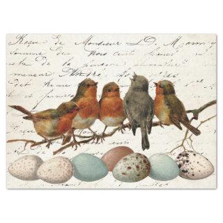 Birds Eggs Vintage European Robin French Decoupage Tissue Paper