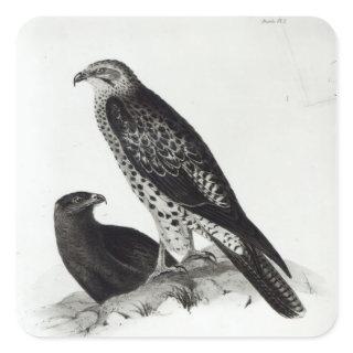 Birds of Prey Square Sticker