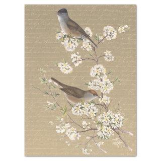 Birds on Flowering Branch Gold French Script  Tissue Paper