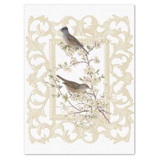 Birds on Flowering Branch Ornate Ivory Frame  Tissue Paper