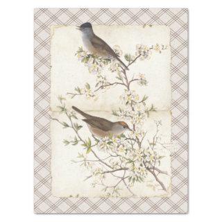 Birds on Flowering Branch Parchment Diamonds Tissue Paper