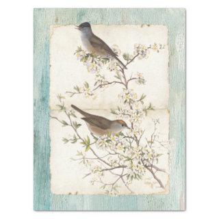 Birds on Flowering Branch Parchment Teal Oil Paint Tissue Paper