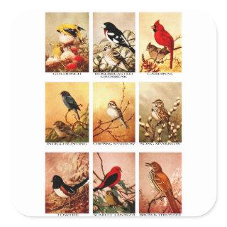 Birds Square Sticker