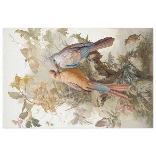 Birds with long feathers  tissue paper