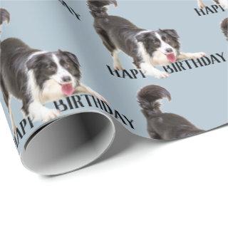 Birthday Border Collie on Blue