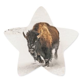 Bison Plodding Through the Snow in Yellowstone Star Sticker