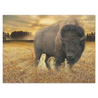 Bison Prairie Tissue Paper
