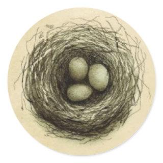 Bitty Bird Nest Classic Round Sticker