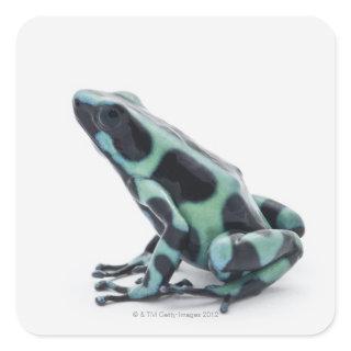 Black and Green Poison Dart Frog Square Sticker