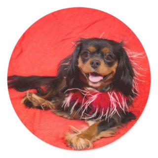 Black And Tan Cavalier King Charles In Red Sticker
