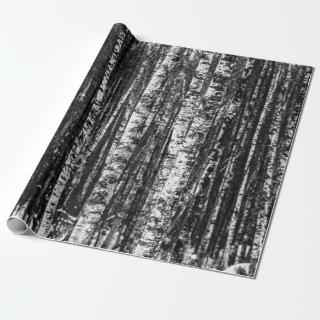 Black and White Abstract Birch Forest