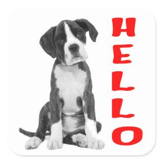Black and White Boxer Puppy Dog Red Hello Square Sticker